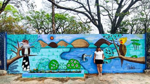 Mural &quot;Refúgio Campineiro&quot;: resultado do edital de credenciamento “Intervenções Artísticas de Arte Urbana, Grafite e Muralismo Campinas Arte Urbana – Paisagens Artísticas no Ambiente Urbano” - Crédito: Divulgação